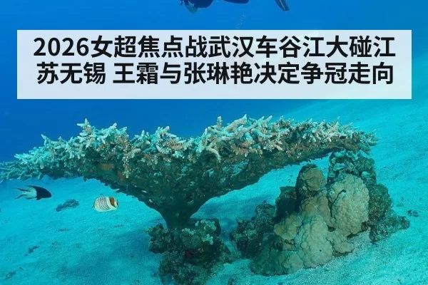 2026女超焦点战武汉车谷江大碰江苏无锡 王霜与张琳艳决定争冠走向